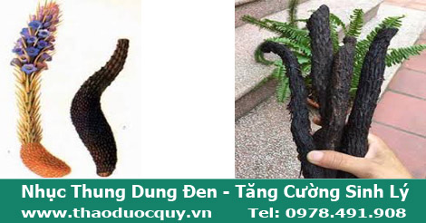 H&igrave;nh ảnh nhục thung dung đen đ&atilde; chế